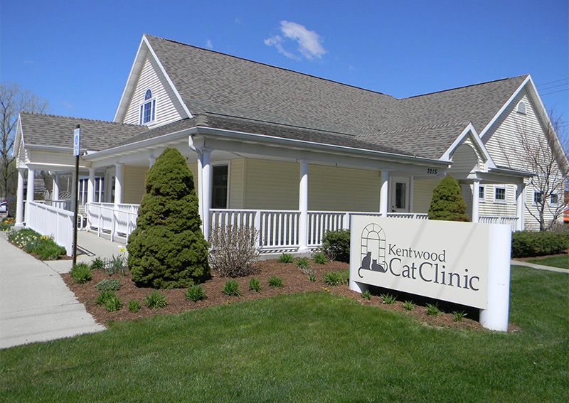 Kentwood Cat Clinic, Kentwood