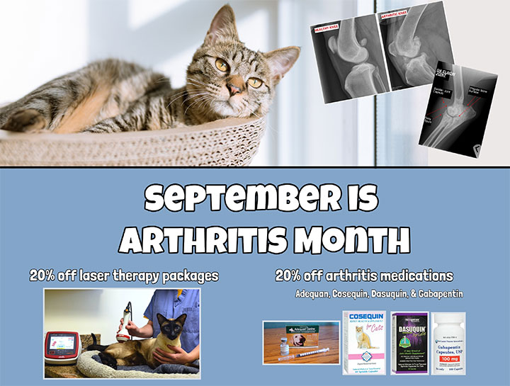 Take Advantage of our September Special!